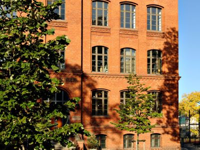 Fenster 